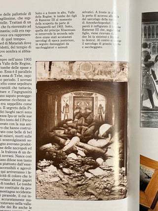 Il Museo egizio di Torino - Guida alla lettura di una civiltà[newline]M8131-06.jpeg