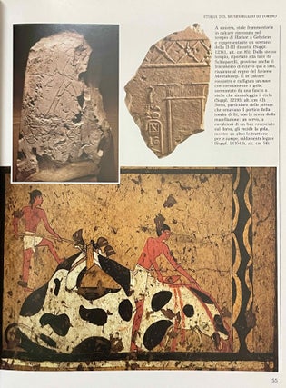 Il Museo egizio di Torino - Guida alla lettura di una civiltà[newline]M8131-08.jpeg