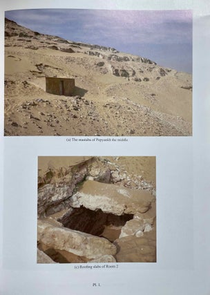 The cemetery of Meir. Vol. I: The tomb of Pepyankh the Middle. Vol. II: The tomb of Pepyankh the Black. Vol. III: The tomb of Niankhpepy the Black. Vol. IV: The tomb of Senbi I and Wekhhotep I (complete set)[newline]M8137a-05.jpeg