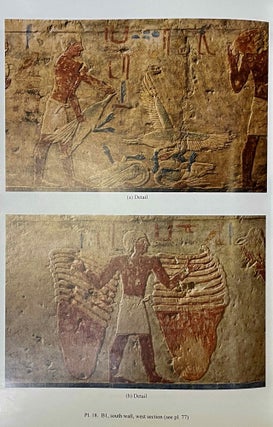 The cemetery of Meir. Vol. I: The tomb of Pepyankh the Middle. Vol. II: The tomb of Pepyankh the Black. Vol. III: The tomb of Niankhpepy the Black. Vol. IV: The tomb of Senbi I and Wekhhotep I (complete set)[newline]M8137a-31.jpeg