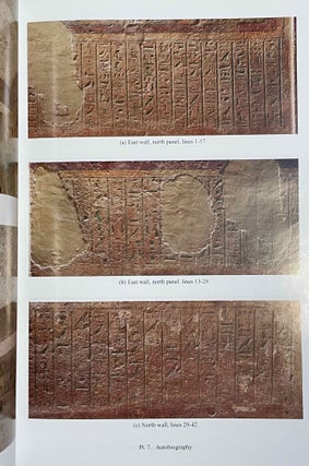 Beni Hassan. Vol. I: The tomb of Khnumhotep II. Vol. II: Two Old Kingdom tombs. Vol. III: The tomb of Amenemhat. Vol. IV: The tomb of Baqet III (complete set)