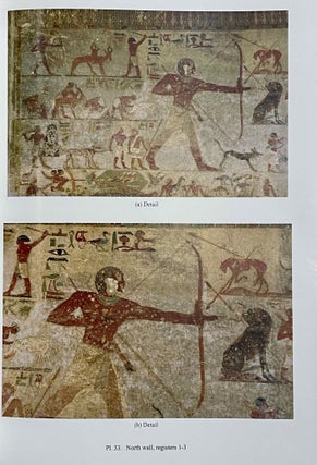 Beni Hassan. Vol. I: The tomb of Khnumhotep II. Vol. II: Two Old Kingdom tombs. Vol. III: The tomb of Amenemhat. Vol. IV: The tomb of Baqet III (complete set)[newline]M8138-08.jpeg