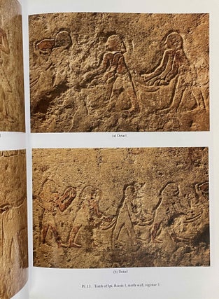 Beni Hassan. Vol. I: The tomb of Khnumhotep II. Vol. II: Two Old Kingdom tombs. Vol. III: The tomb of Amenemhat. Vol. IV: The tomb of Baqet III (complete set)[newline]M8138-16.jpeg