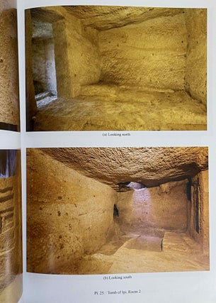 Beni Hassan. Vol. I: The tomb of Khnumhotep II. Vol. II: Two Old Kingdom tombs. Vol. III: The tomb of Amenemhat. Vol. IV: The tomb of Baqet III (complete set)[newline]M8138-17.jpeg