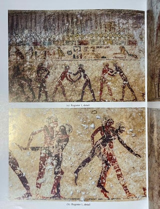 Beni Hassan. Vol. I: The tomb of Khnumhotep II. Vol. II: Two Old Kingdom tombs. Vol. III: The tomb of Amenemhat. Vol. IV: The tomb of Baqet III (complete set)[newline]M8138-35.jpeg