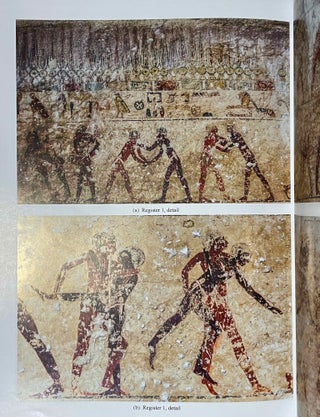 Beni Hassan. Vol. I: The tomb of Khnumhotep II. Vol. II: Two Old Kingdom tombs. Vol. III: The tomb of Amenemhat. Vol. IV: The tomb of Baqet III (complete set)