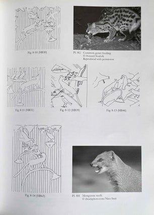 Animal behaviour in Egyptian art. Representations of the natural world in Memphite tomb scenes.[newline]M8140-06.jpeg