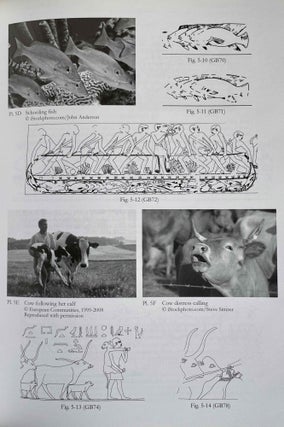 Animal behaviour in Egyptian art. Representations of the natural world in Memphite tomb scenes.[newline]M8140-07.jpeg