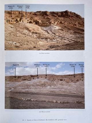 Deir el-Gebrawi. Vol. I: The Northern Cliff. Vol. II: The Southern Cliff: The Tomb of Ibi and Others. Vol. III: The Southern Cliff: The tomb of Djau/Shemai and Djau (complete set)[newline]M8143-06.jpeg