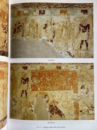 Deir el-Gebrawi. Vol. I: The Northern Cliff. Vol. II: The Southern Cliff: The Tomb of Ibi and Others. Vol. III: The Southern Cliff: The tomb of Djau/Shemai and Djau (complete set)[newline]M8143-23.jpeg