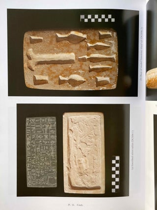Deir el-Gebrawi. Vol. I: The Northern Cliff. Vol. II: The Southern Cliff: The Tomb of Ibi and Others. Vol. III: The Southern Cliff: The tomb of Djau/Shemai and Djau (complete set)[newline]M8143-24.jpeg