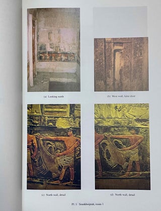 The Teti cemetery at Saqqara. Vol. III: The tombs of Neferseshemre and Seankhuiptah.[newline]M8144-05.jpeg