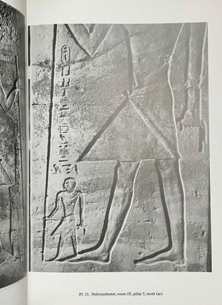 The Teti cemetery at Saqqara. Vol. III: The tombs of Neferseshemre and Seankhuiptah.[newline]M8144-06.jpeg