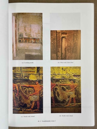 The Teti cemetery at Saqqara. Vol. III: The tombs of Neferseshemre and Seankhuiptah.[newline]M8144a-04.jpeg