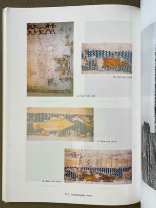 The Teti cemetery at Saqqara. Vol. III: The tombs of Neferseshemre and Seankhuiptah.[newline]M8144a-05.jpeg