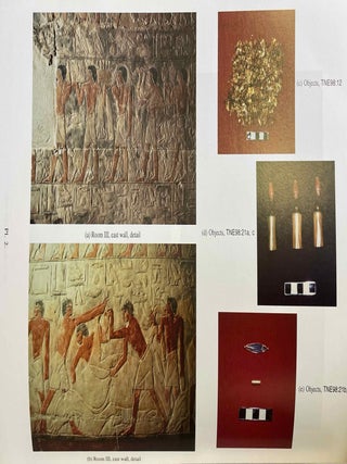 The Teti Cemetery at Saqqara. Volume VI, The Tomb of Nikauisesi.[newline]M8145a-05.jpeg