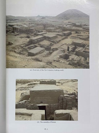 The Teti Cemetery at Saqqara. Vol. IX: The tomb of Remni[newline]M8148-05.jpeg