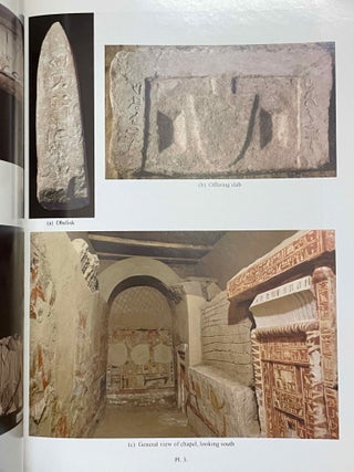 The Teti Cemetery at Saqqara. Vol. IX: The tomb of Remni[newline]M8148-06.jpeg