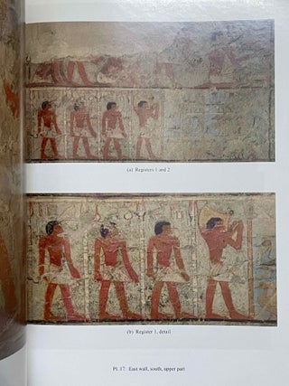 The Teti Cemetery at Saqqara. Vol. IX: The tomb of Remni[newline]M8148-07.jpeg