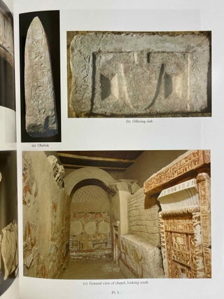 The Teti Cemetery at Saqqara. Vol. IX: The tomb of Remni[newline]M8148a-05.jpeg