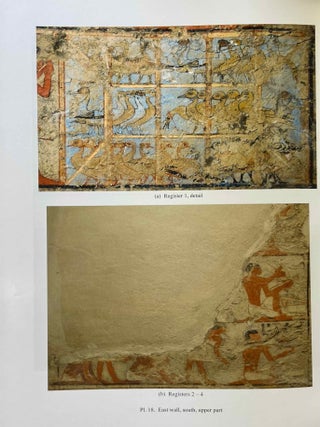 The Teti Cemetery at Saqqara. Vol. IX: The tomb of Remni[newline]M8148a-06.jpeg