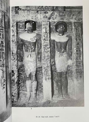 The Unis Cemetery at Saqqara. Vol. I: The Tomb of Irukaptah[newline]M8153-06.jpeg