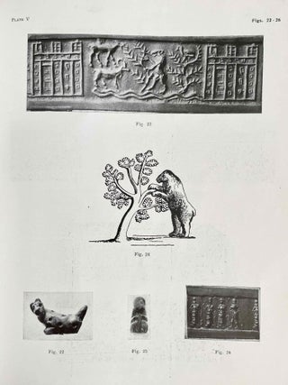 The fauna of ancient Mesopotamia as represented in art[newline]M8160-12.jpeg