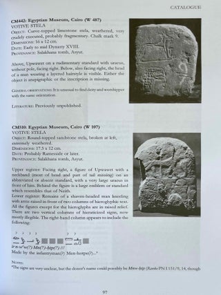 The Salakhana trove. Votive stelae and other objects from Asyut.[newline]M8167a-12.jpeg
