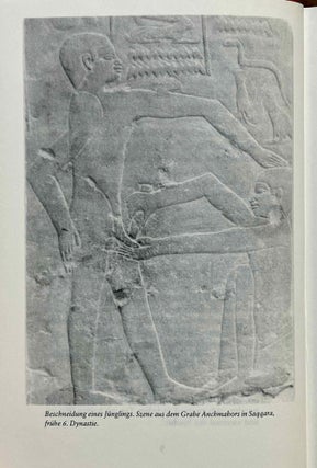 Liebe und Sexualität im Alten Ägypten. Eine Text- und Bilddokumentation.[newline]M8169-07.jpeg