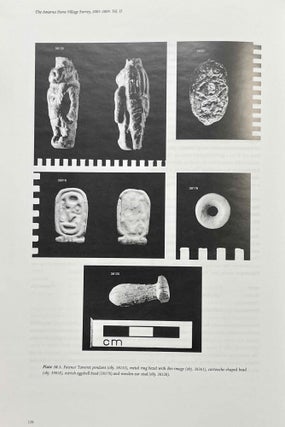Akhenaten's workers: The Amarna Stone Village Survey, 2005-9. Volume II: The Faunal and Botanical Remains, and Objects.[newline]M8172-06.jpeg