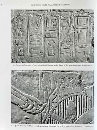 The Chapel of Niankhkhnum & Khnumhotep. Scene Details.