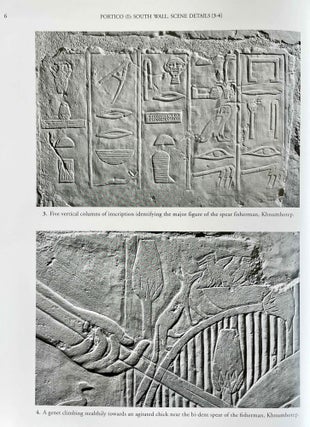 The Chapel of Niankhkhnum & Khnumhotep. Scene Details.