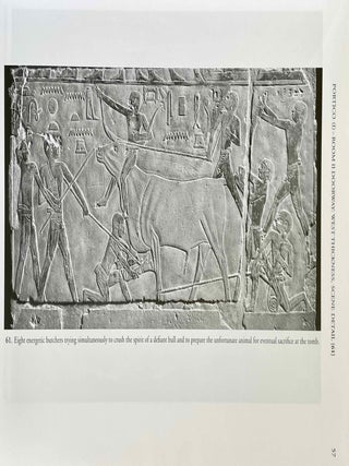 The Chapel of Niankhkhnum & Khnumhotep. Scene Details.