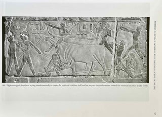 The Chapel of Niankhkhnum & Khnumhotep. Scene Details.