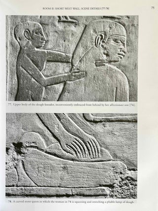 The Chapel of Niankhkhnum & Khnumhotep. Scene Details.