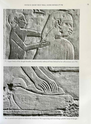 The Chapel of Niankhkhnum & Khnumhotep. Scene Details.