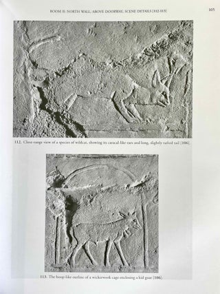 The Chapel of Niankhkhnum & Khnumhotep. Scene Details.