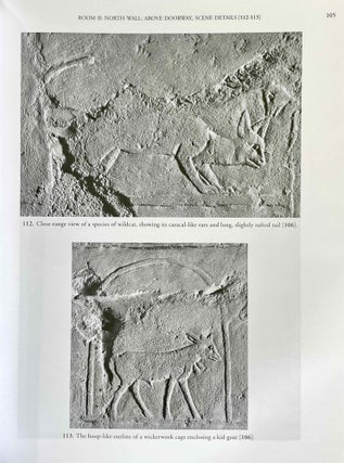 The Chapel of Niankhkhnum & Khnumhotep. Scene Details.