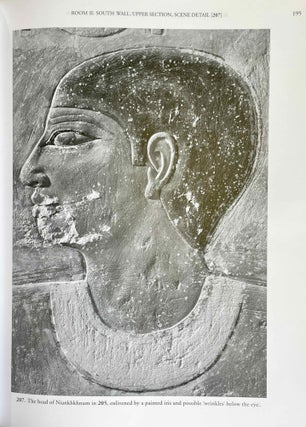 The Chapel of Niankhkhnum & Khnumhotep. Scene Details.