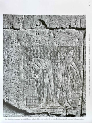 The Chapel of Niankhkhnum & Khnumhotep. Scene Details.