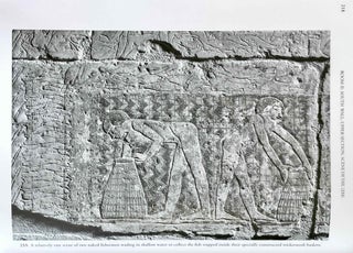 The Chapel of Niankhkhnum & Khnumhotep. Scene Details.