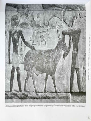 The Chapel of Niankhkhnum & Khnumhotep. Scene Details.