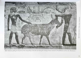The Chapel of Niankhkhnum & Khnumhotep. Scene Details.