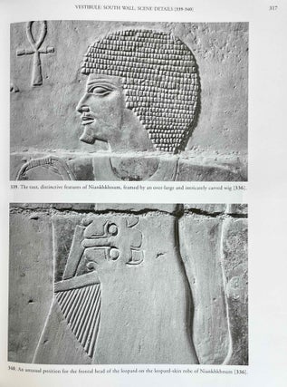 The Chapel of Niankhkhnum & Khnumhotep. Scene Details.