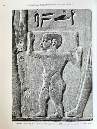 The Chapel of Niankhkhnum & Khnumhotep. Scene Details.