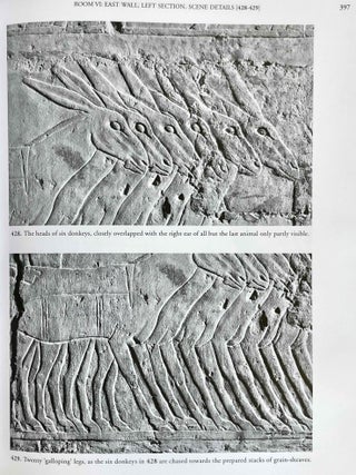The Chapel of Niankhkhnum & Khnumhotep. Scene Details.