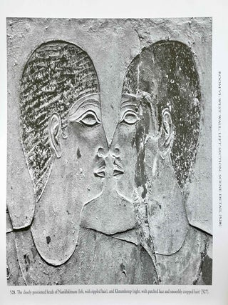The Chapel of Niankhkhnum & Khnumhotep. Scene Details.