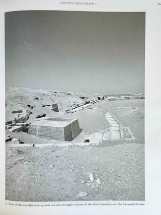 The Chapel of Niankhkhnum & Khnumhotep. Scene Details.