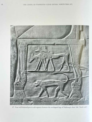 Item #M8181d The Chapel of Ptahhotep. Scene Details. HARPUR Yvonne - SCREMIN Paolo[newline]M8181d-00.jpeg