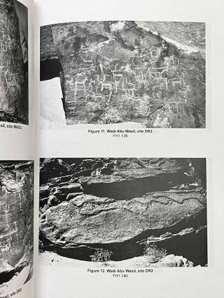 Rock art of the eastern desert of Egypt. Content, comparisons, dating and significance.[newline]M8190-05.jpeg